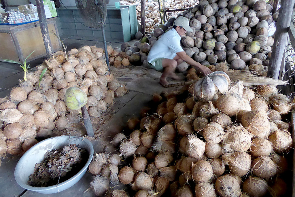 Kokosnötter